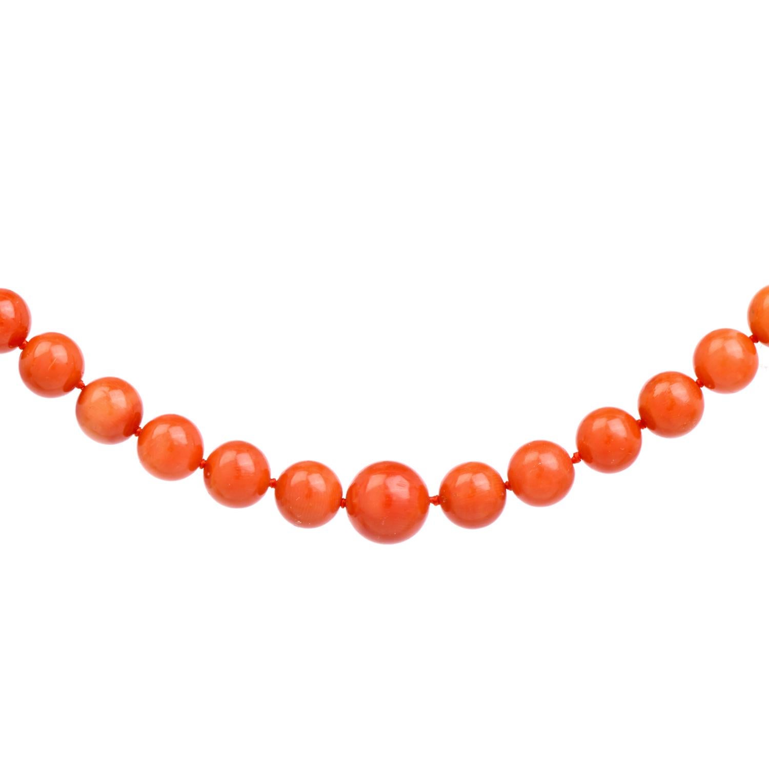 This striking Natural Red Coral 68 Bead Necklace spans 22 inches around the neck or can be wrapped around your wrist for more flexible wear.

These Natural coral beads measure from 10mm to 8mm beads and are secured by a Chinese-designed gold 14k