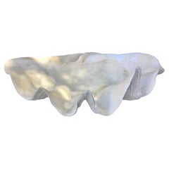 Natural Giant Clam Shell