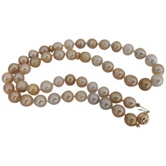 Natural Golden Color South Sea Pearls Choker 18 Karat Gold