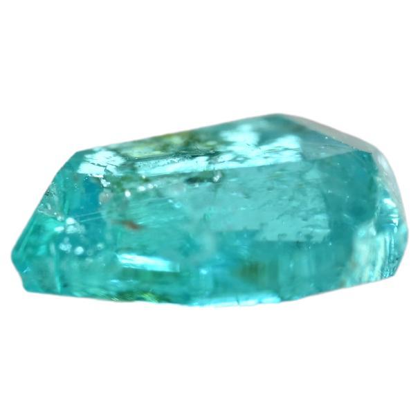 Naturelle Tourmaline Paraiba Brésilienne Verte/Bleue 0.88 carat/GIA Report /Top Color en vente 2