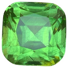 Greene & Greene Greene & Greene Greene Peridot Square Cushion Cut 20.27 Carat Loose Gemstone