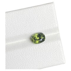 Zircon vert naturel de 1,50 carat d'origine de Ceylan