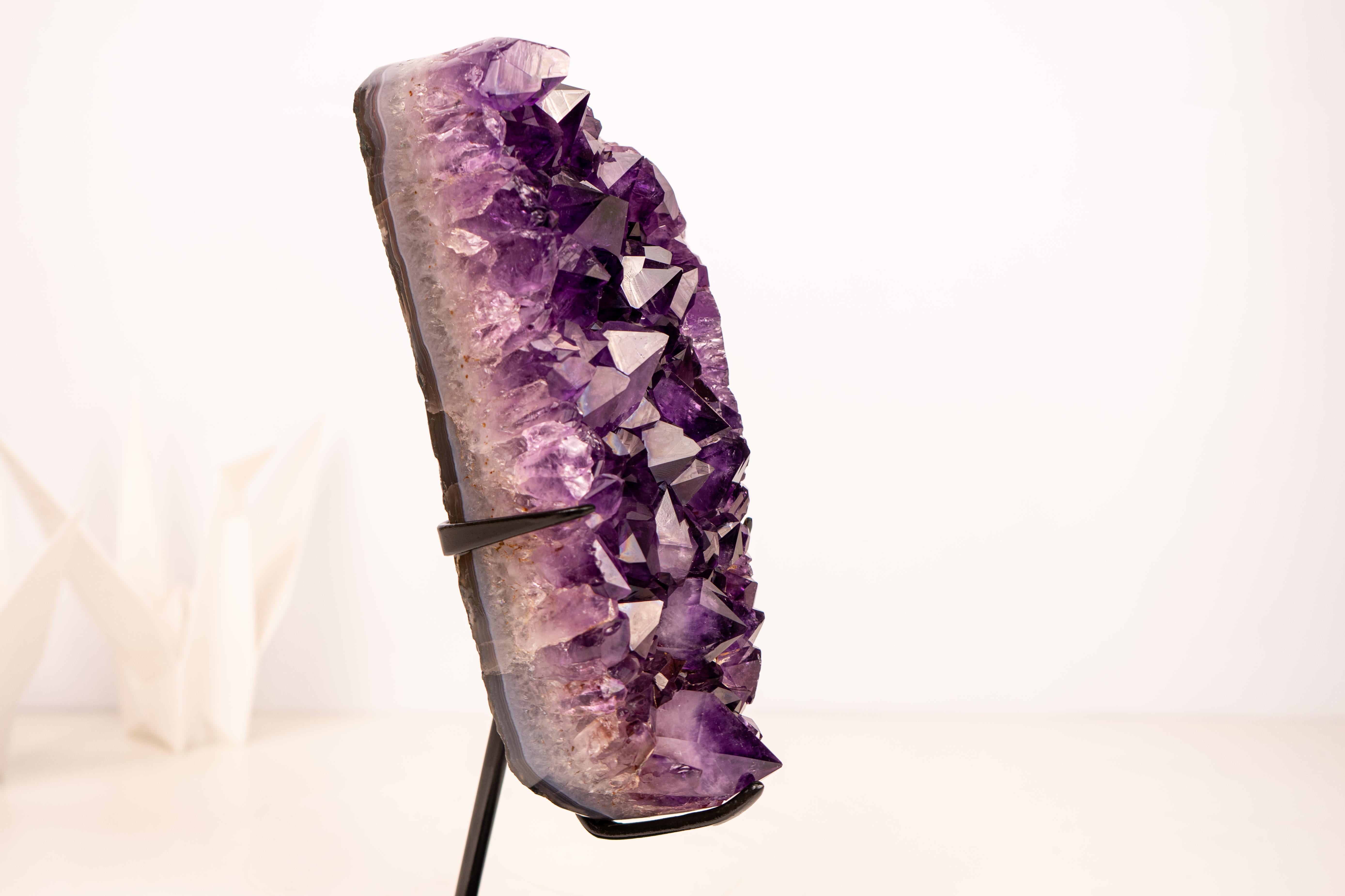 High-Grade Amethyst Geode Cluster with sparkly AAA-Grade Amethyst Points

▫️ Description

Beautiful, small, and bold, this Amethyst cluster from Brazil possesses all the desirable qualities. Its deep, rich purple tone brings beauty and elegance,