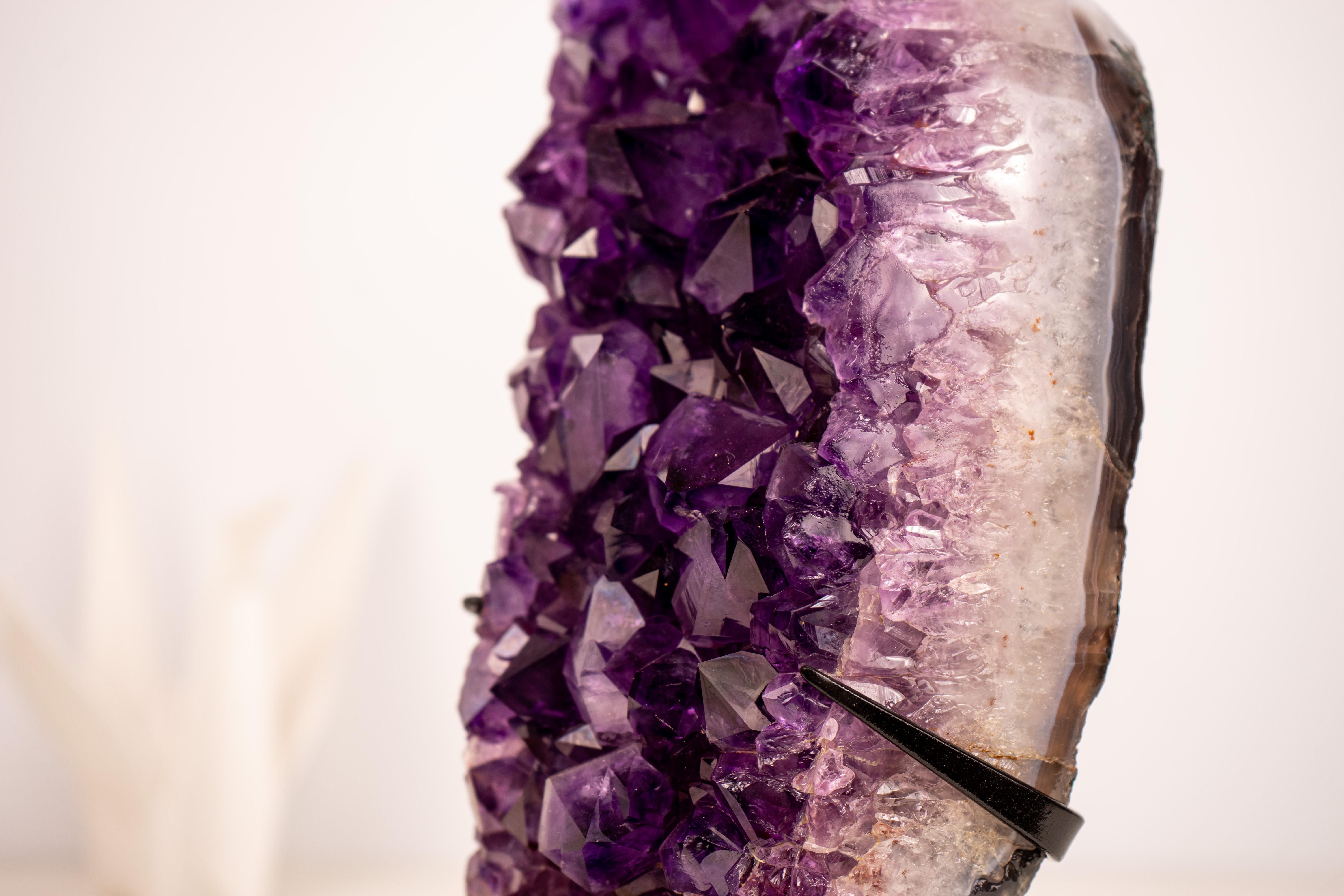 Natural High-Grade Amethyst Cluster en Nuevo estado para la venta en Ametista Do Sul, BR