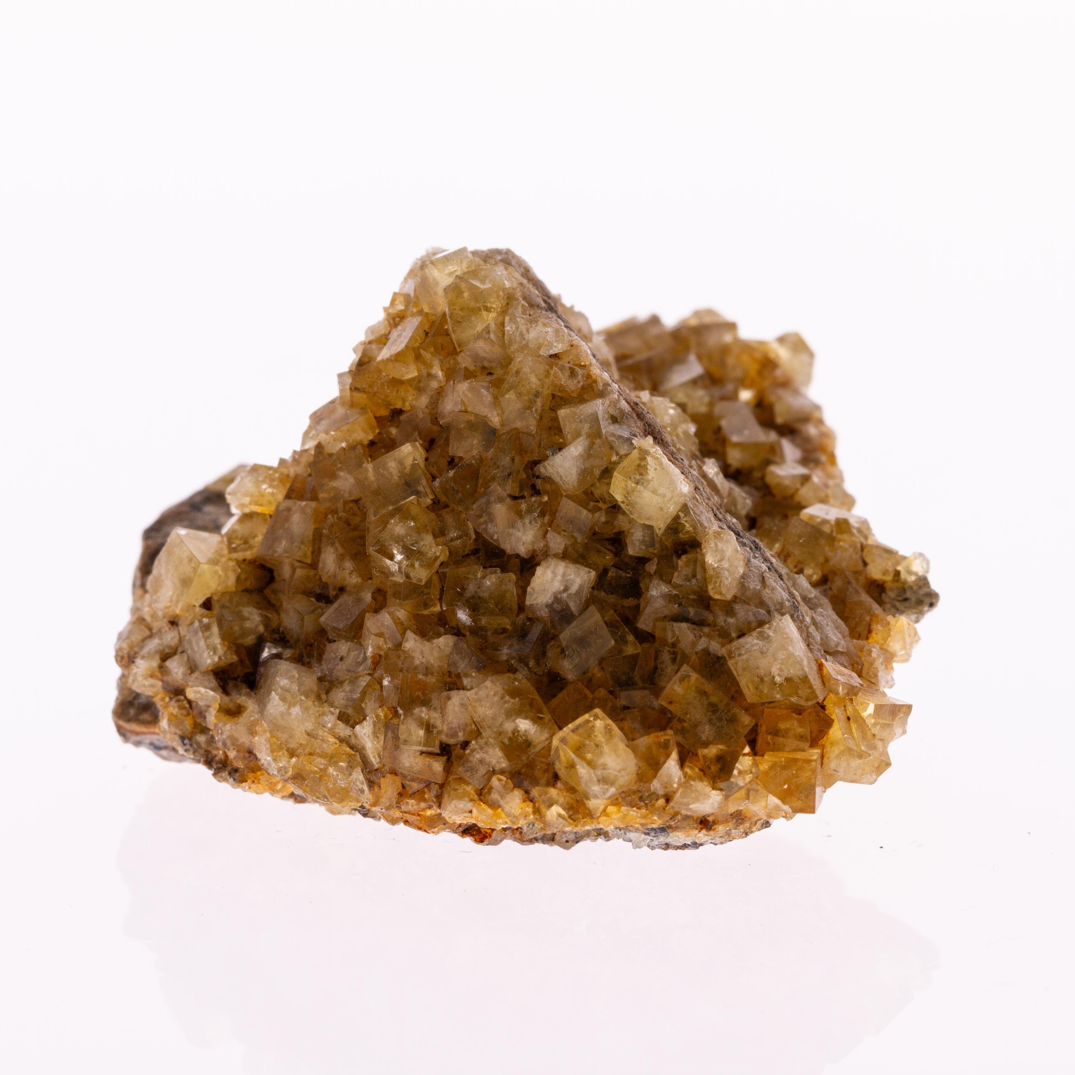 20th Century Natural History - Fluorite Gemstone Geode Specimen Crystals Cluster