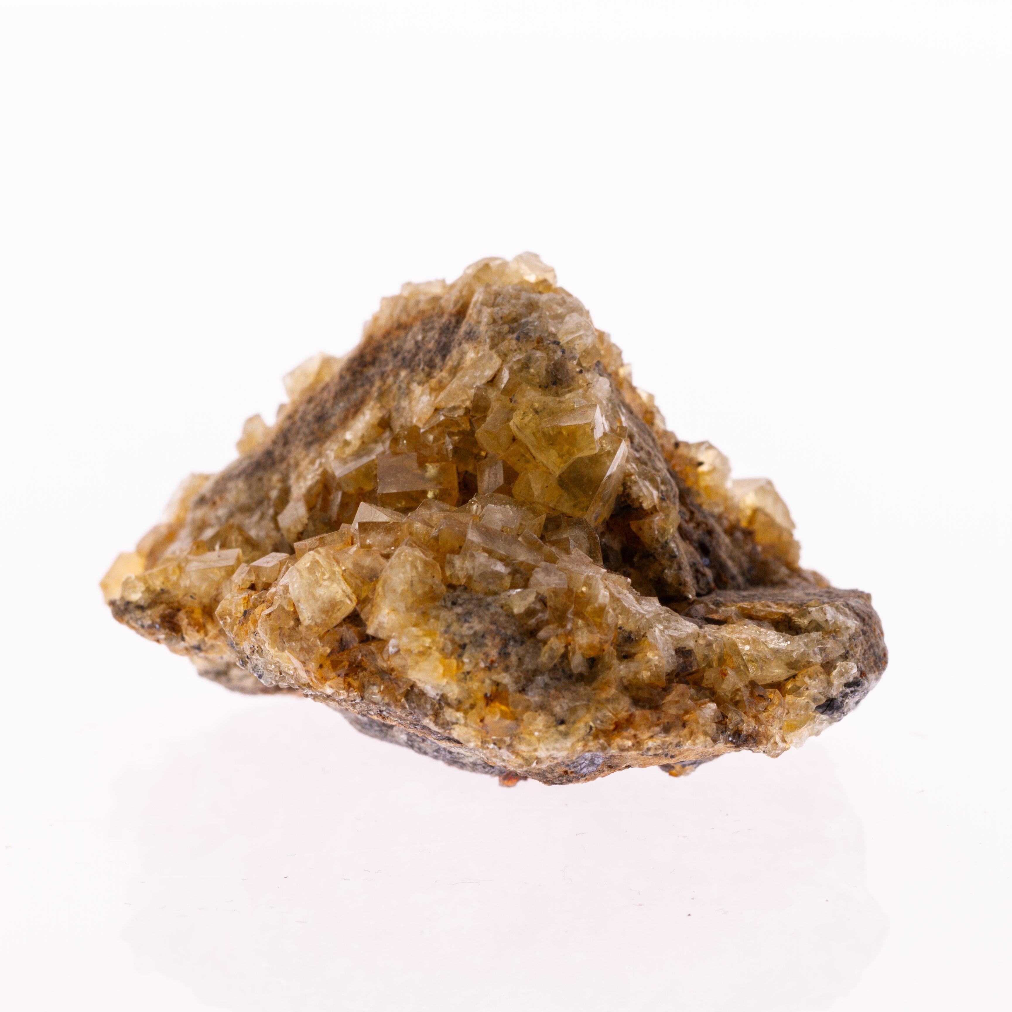Multi-gemstone Natural History - Fluorite Gemstone Geode Specimen Crystals Cluster