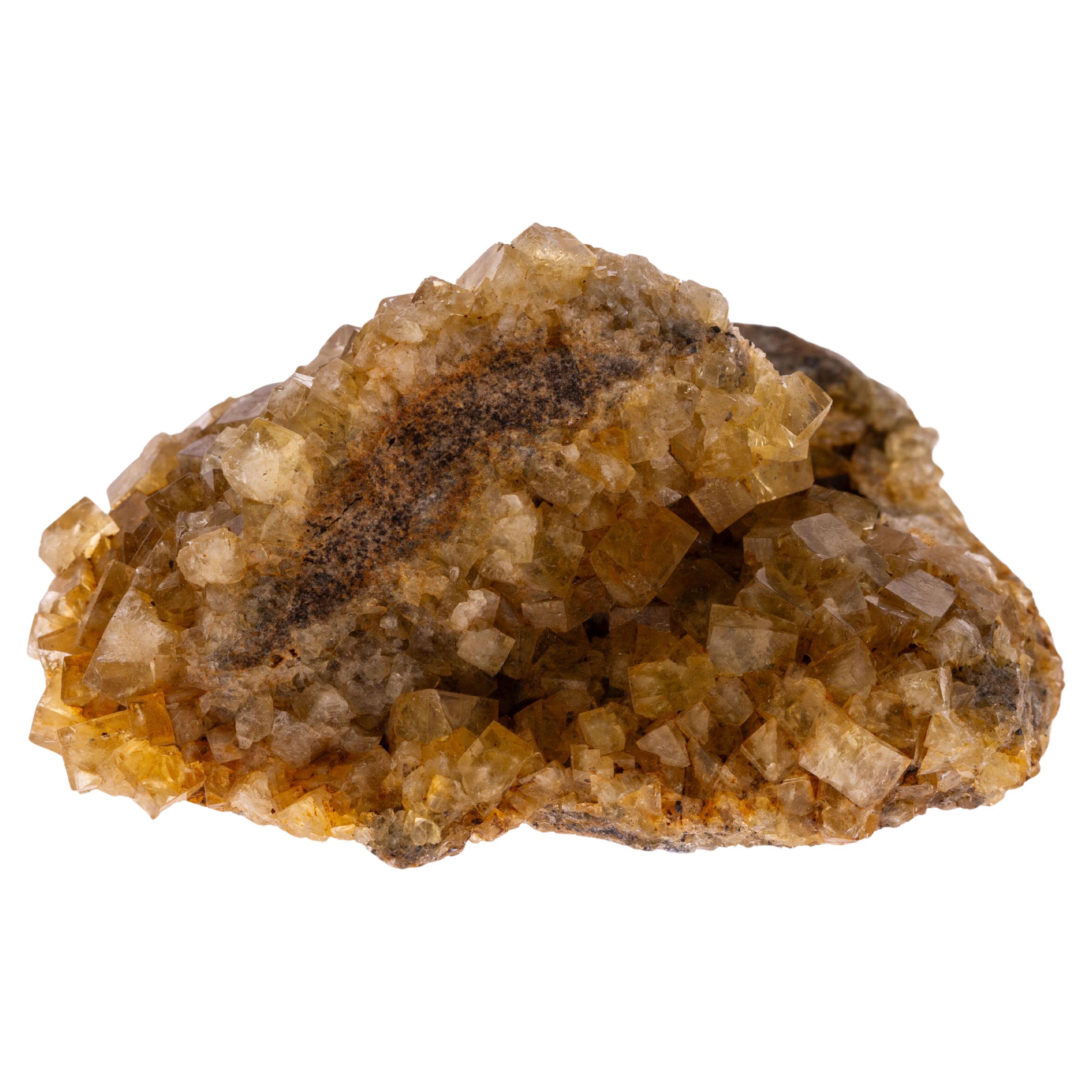 Natural History - Fluorite Gemstone Geode Specimen Crystals Cluster For Sale