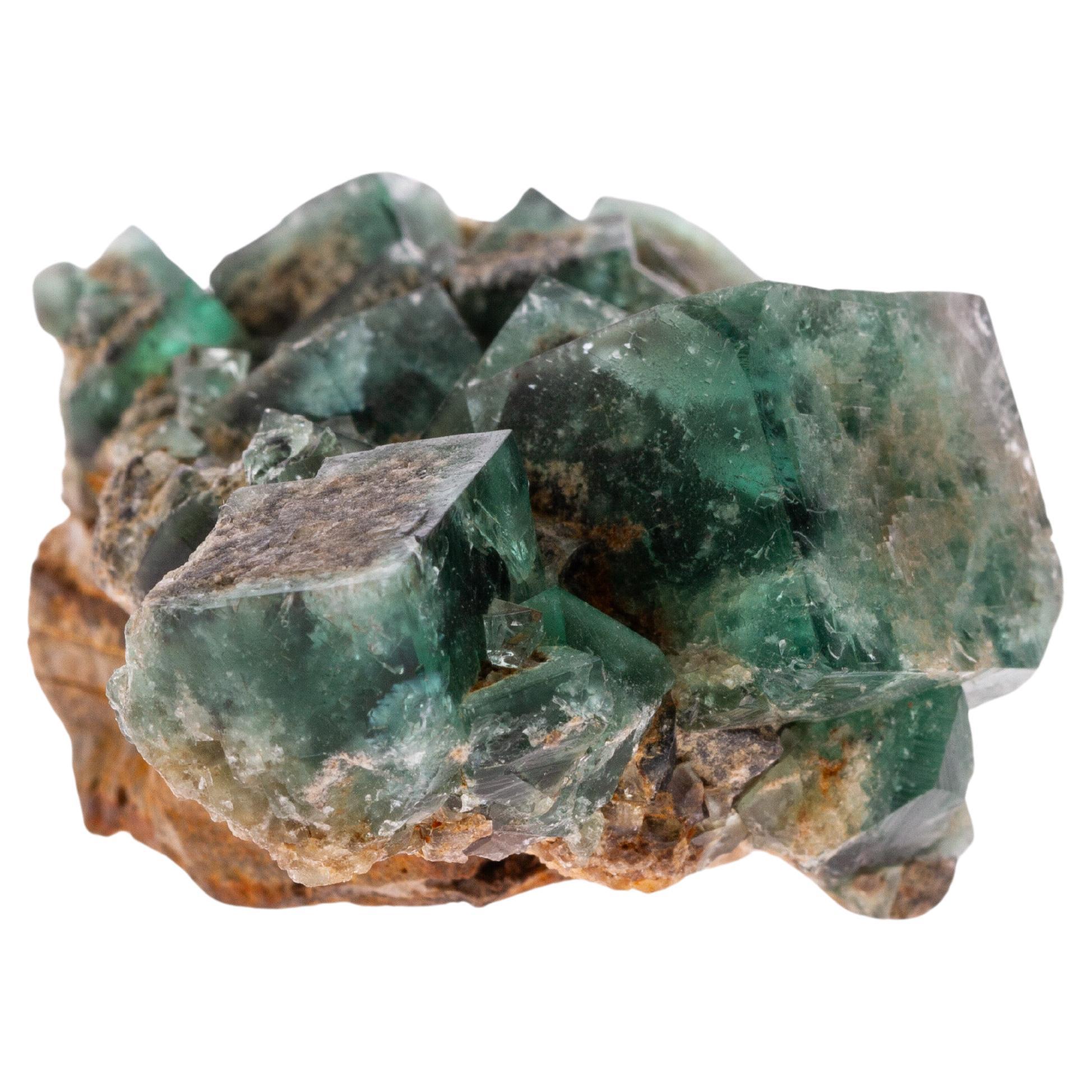 Natural History - Green Fluorite Gemstone Geode Specimen Crystals Cluster

Free international shipping.