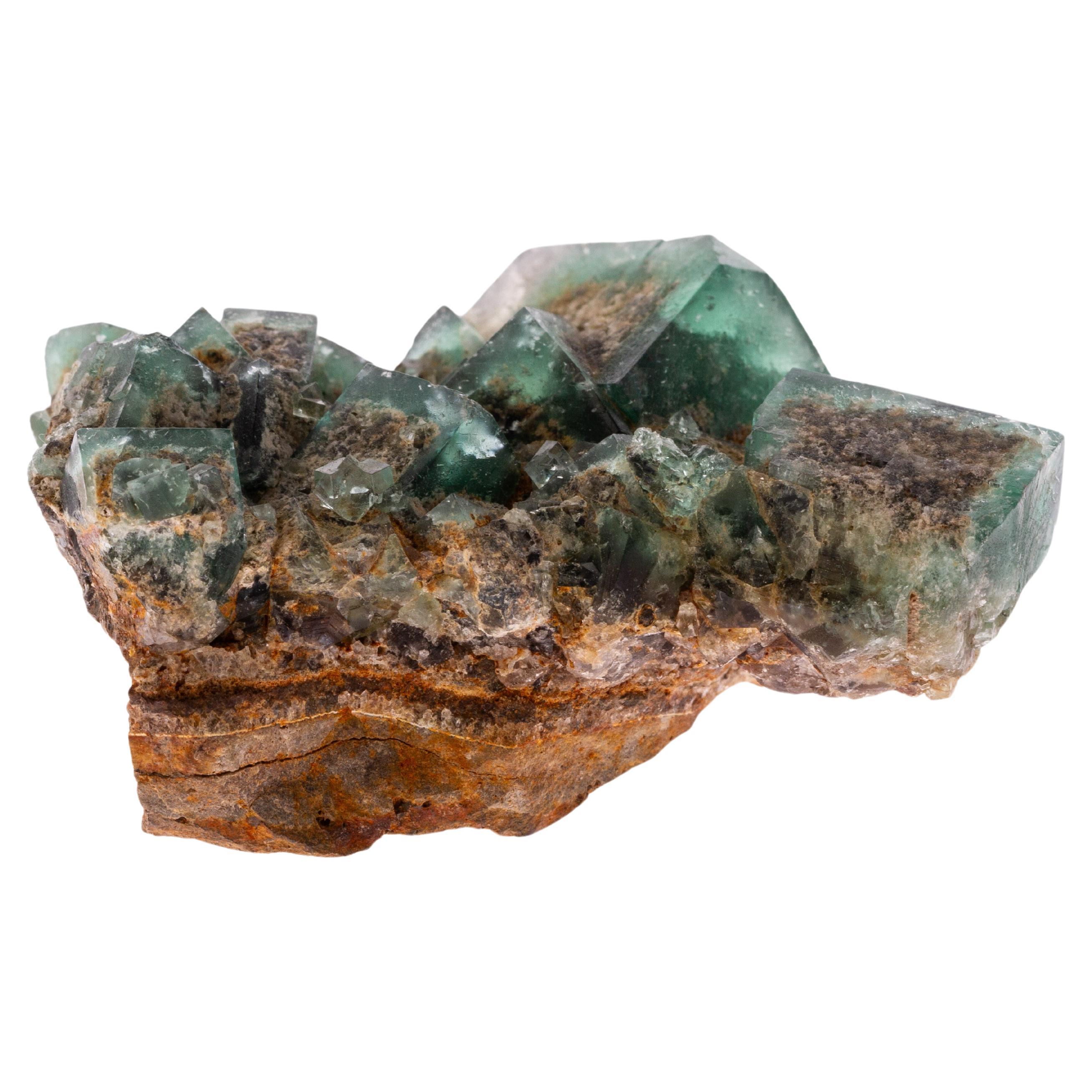 Natural History - Green Fluorite Gemstone Geode Specimen Crystals Cluster In Good Condition In Nottingham, GB
