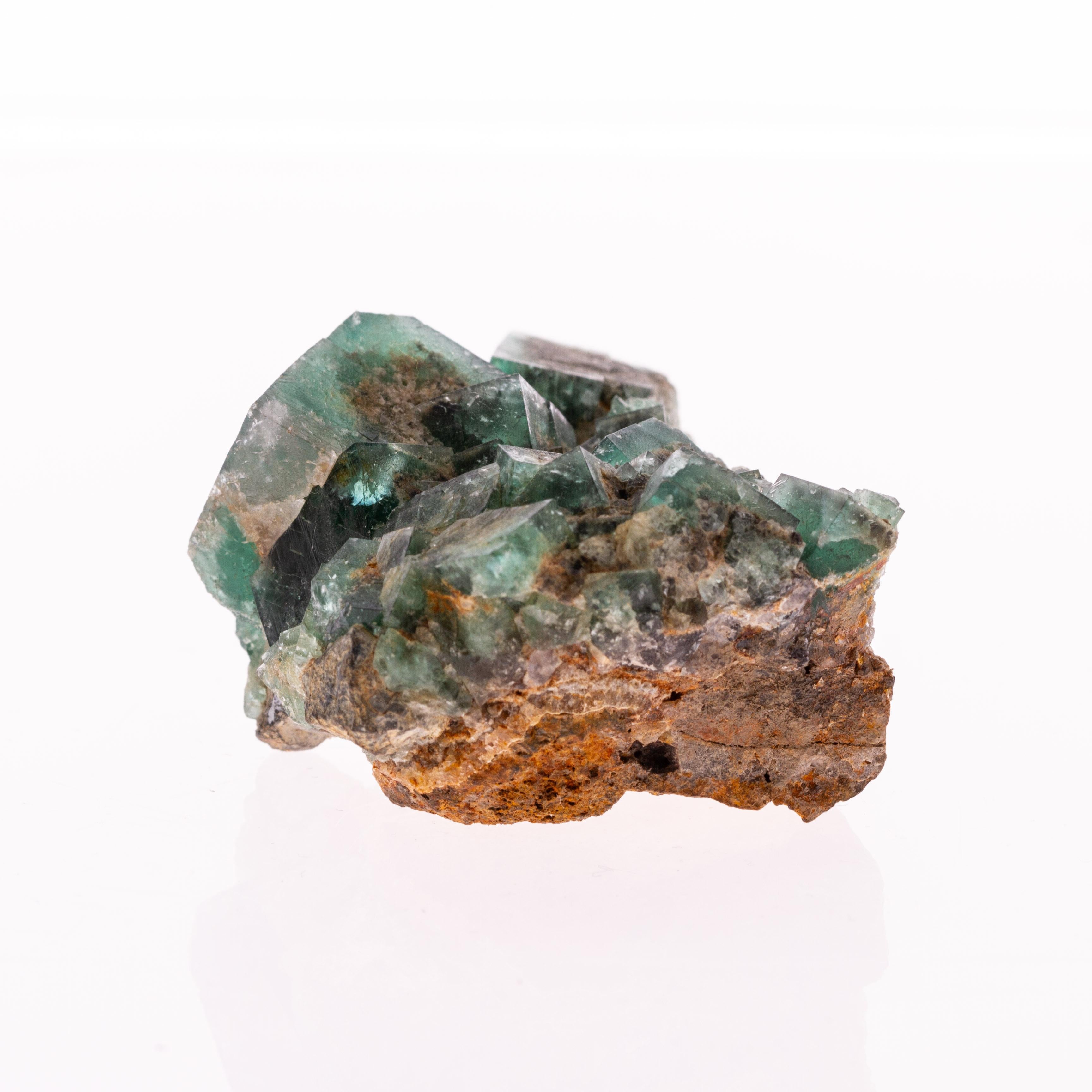 Multi-gemstone Natural History - Green Fluorite Gemstone Geode Specimen Crystals Cluster
