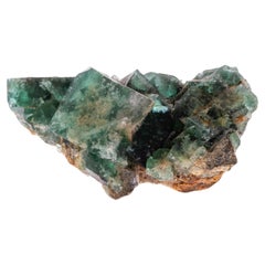 Vintage Natural History - Green Fluorite Gemstone Geode Specimen Crystals Cluster