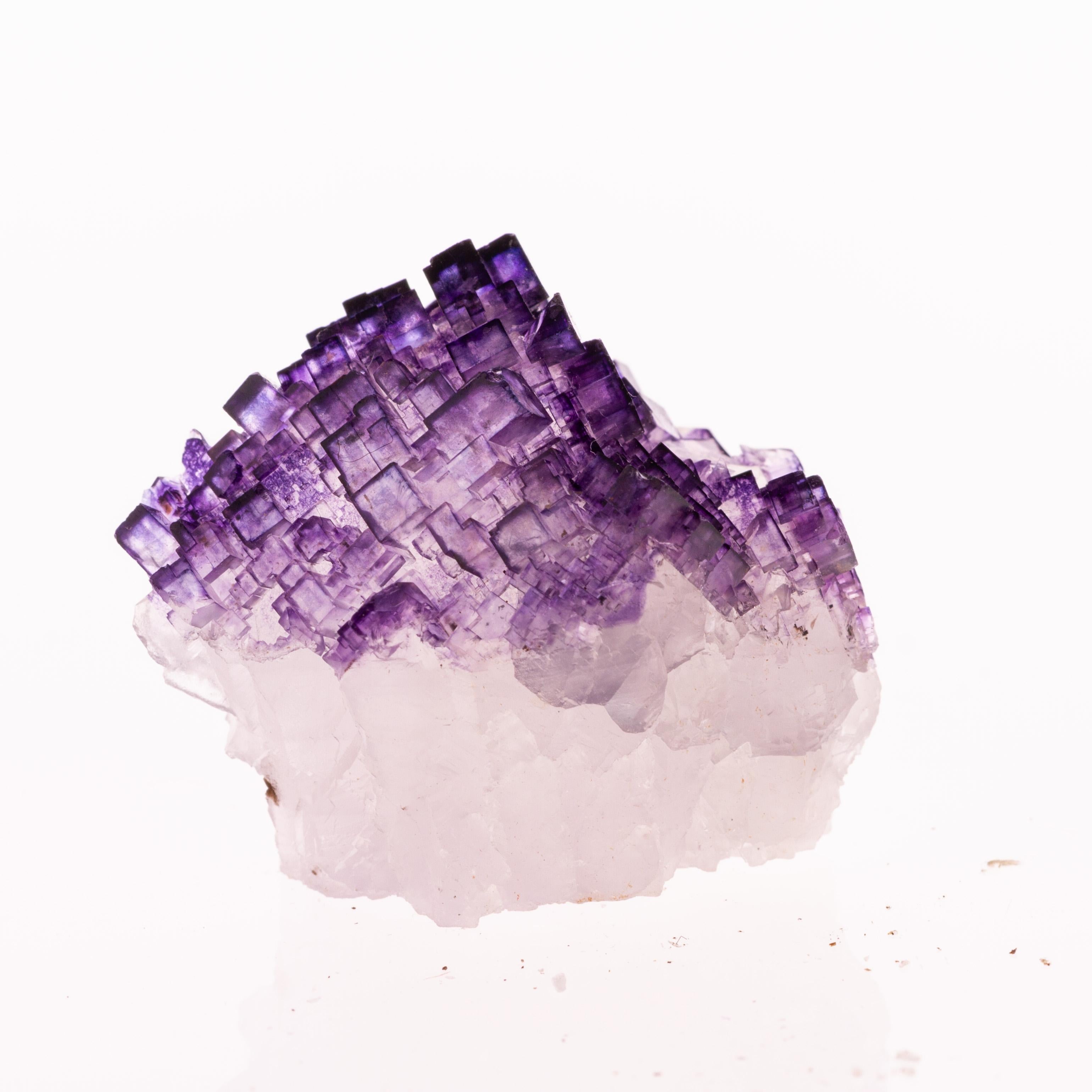 20th Century Natural History - Mexican Fluorite Gemstone Geode Specimen Crystals Cluster