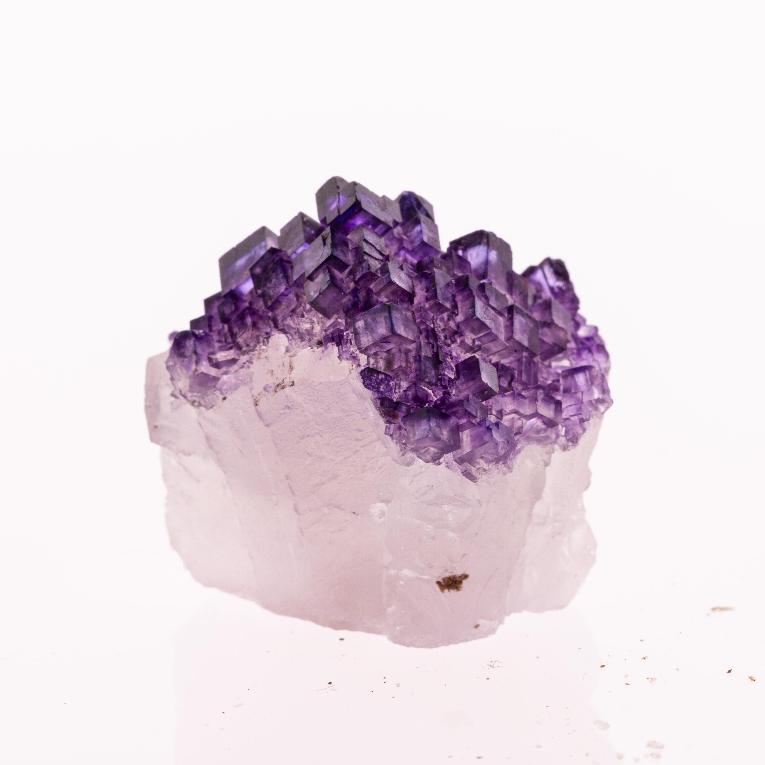 Multi-gemstone Natural History - Mexican Fluorite Gemstone Geode Specimen Crystals Cluster