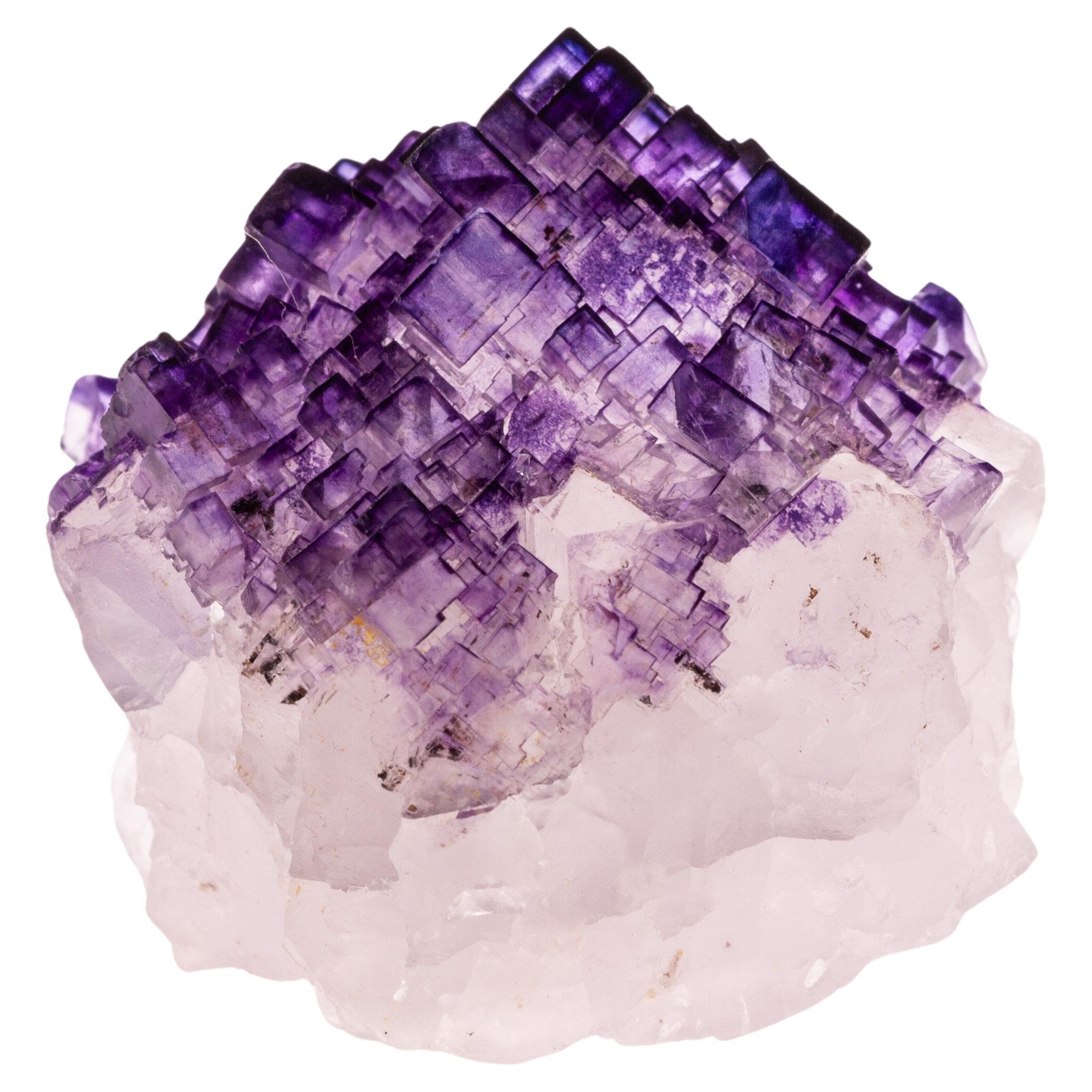 Natural History - Mexican Fluorite Gemstone Geode Specimen Crystals Cluster