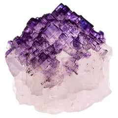 Vintage Natural History - Mexican Fluorite Gemstone Geode Specimen Crystals Cluster