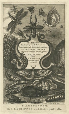 Natural History Title Page, Insects & Serpents, Jan Jonston, Amsterdam 1660