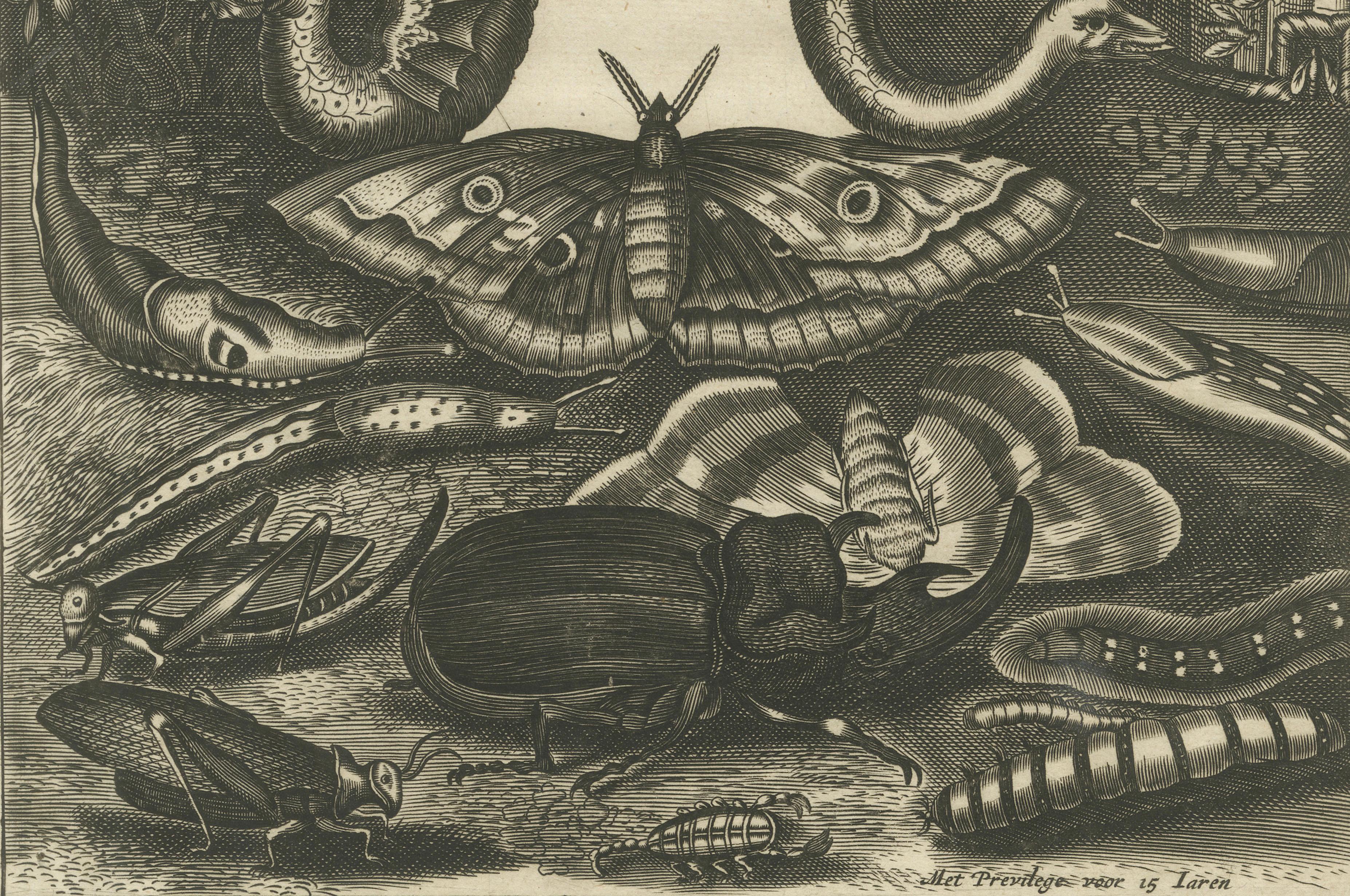 Natural History Title Page, Insects & Serpents, Jan Jonston, Amsterdam 1660