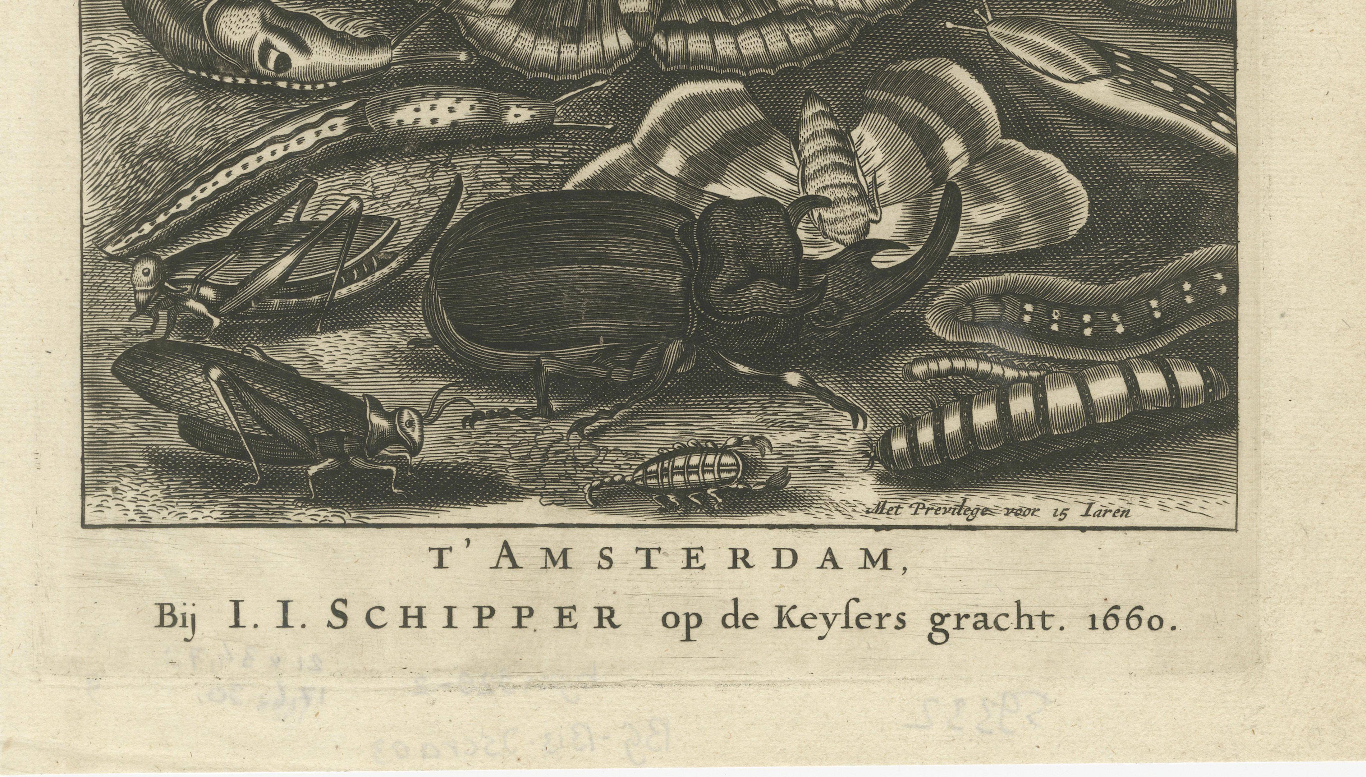 Natural History Title Page, Insects & Serpents, Jan Jonston, Amsterdam 1660