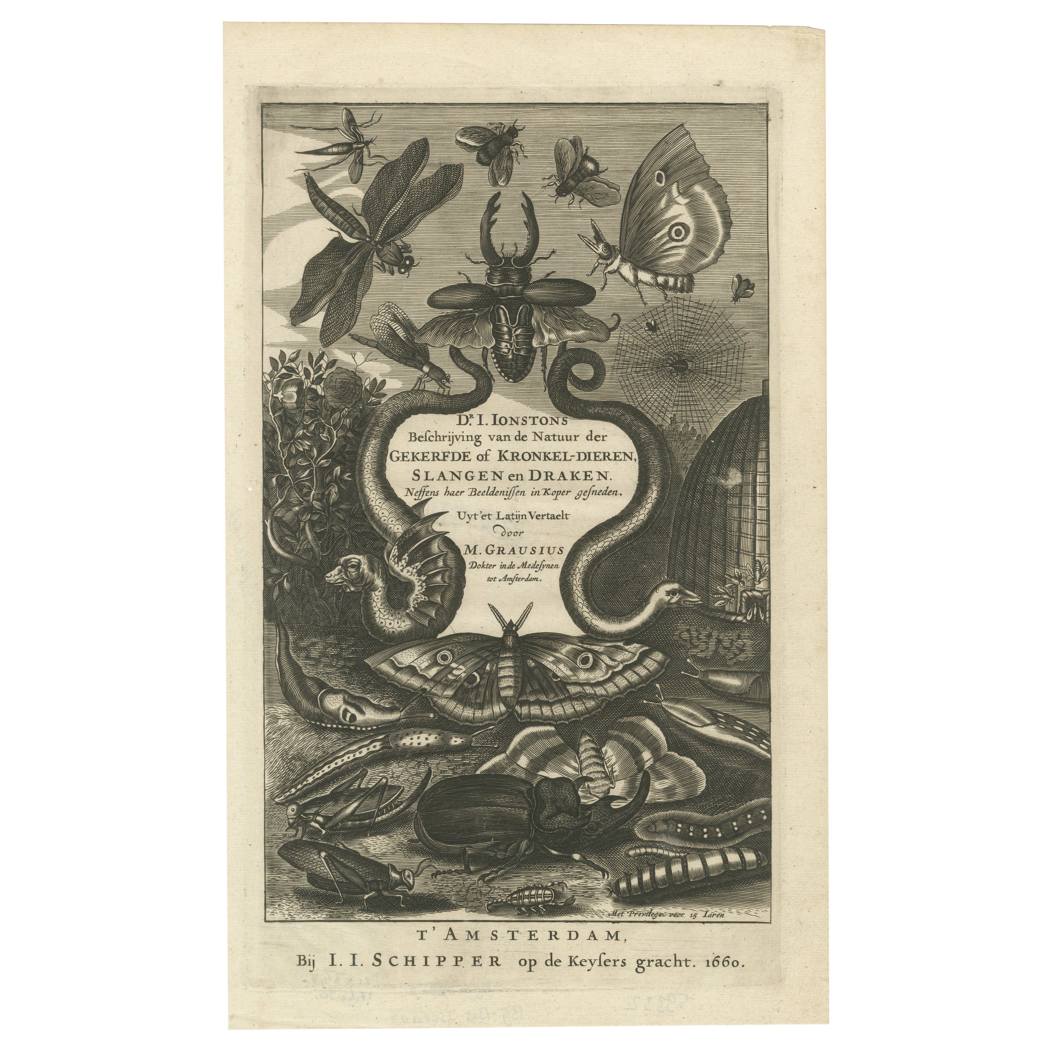 Natural History Title Page, Insects 
Serpents, Jan Jonston, Amsterdam 1660 For Sale
