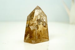 Punto Generador de Cuarzo Citrino Miel-Oro Natural