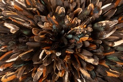 Natural Juju Feather Ceremonial Headdress