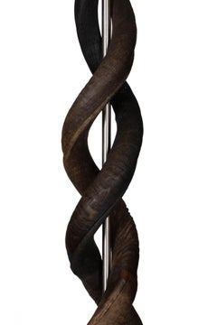 Standing Lamp-Natural Kudu Horn Double Twist