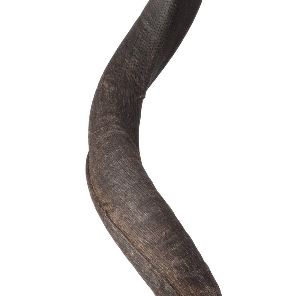 Natural Kudu Horn Table with Wildebeest Hide Top In New Condition In New York, NY