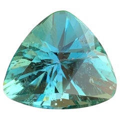 Natural Kunzite Spodumene Gemstone: 32.70 Carat Trillion Cut November Birthstone