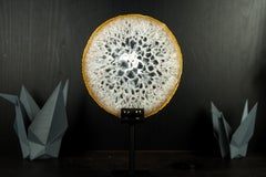 Natural Lace Agate Slice with Clear Crystal Interior and White Sugar Druzy