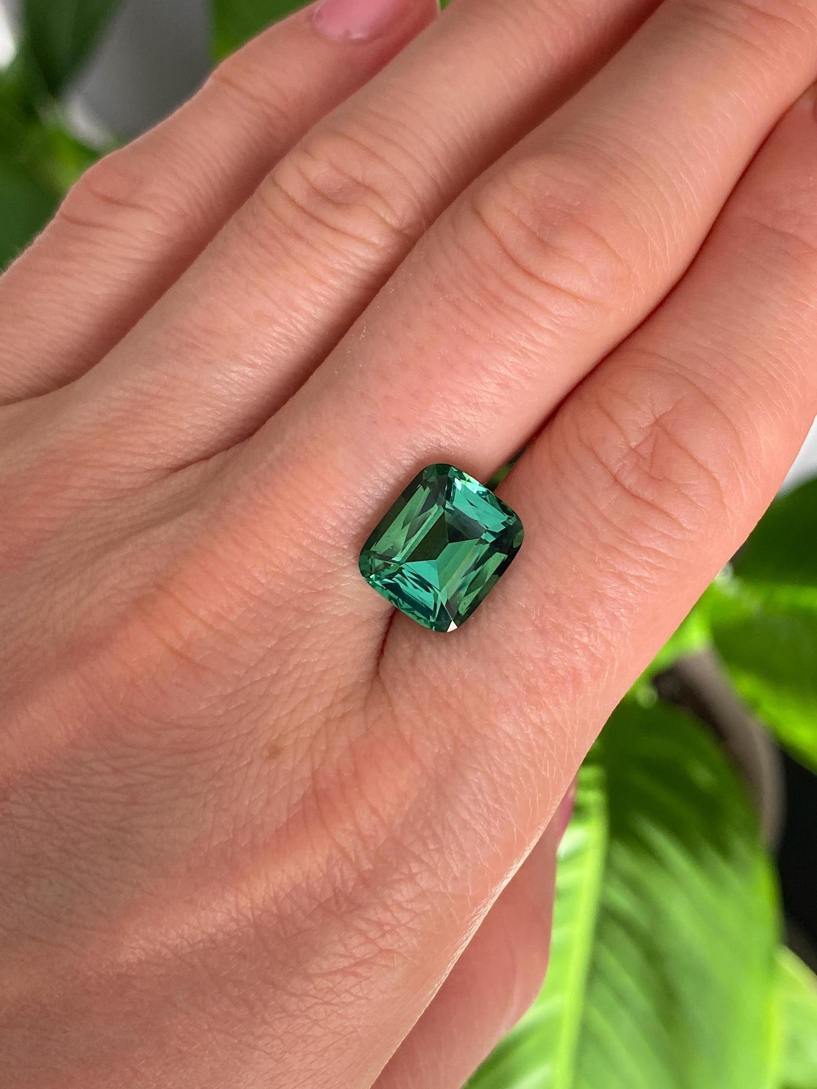 Gemma sfusa Nature Lagoon Tourmaline

Certificato GIA
Colore della gemma: verde-bluastro
Tipo di gemma: Tormalina
Dimensioni della gemma: 12,31x10,73x7,56 mm
Grado di taglio: Molto buono
Chiarezza/Grado: Looping pulito
Forma della gemma: Taglio a