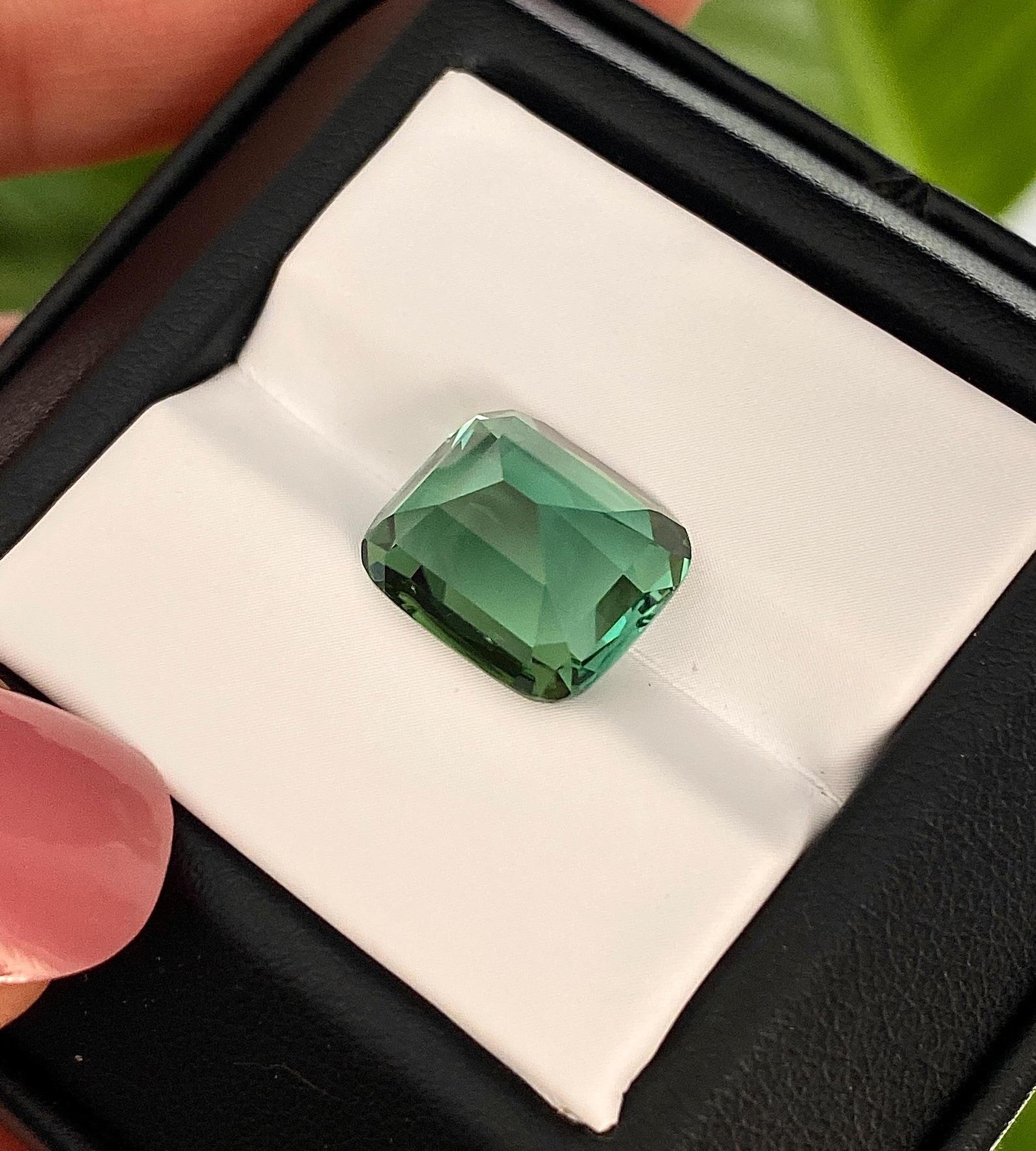 da uomo o donna Gemma sfusa Nature Lagoon Tourmaline 7.55 ct. Taglio a cuscino, certificato GIA in vendita