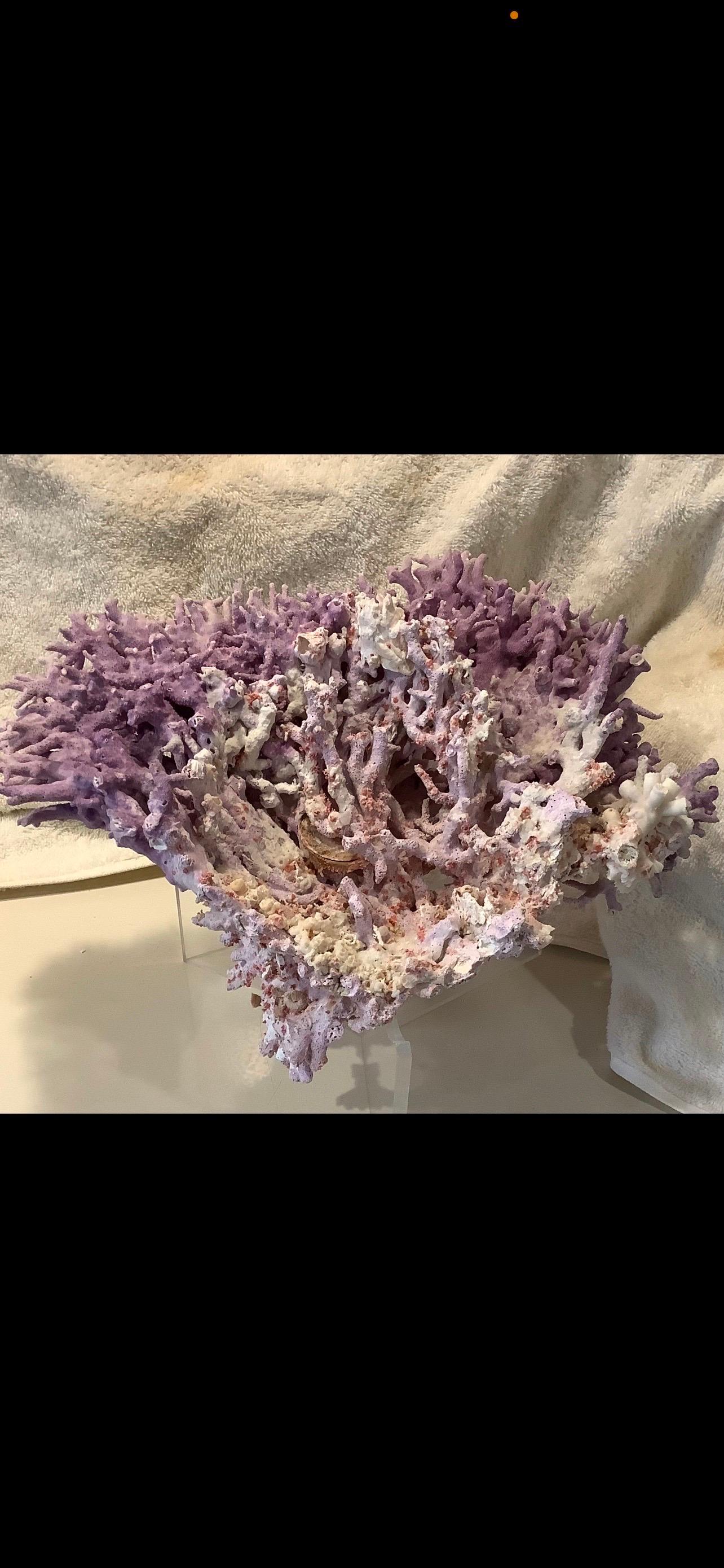 Organic Modern Natural Lavender/ Purple Coral For Sale