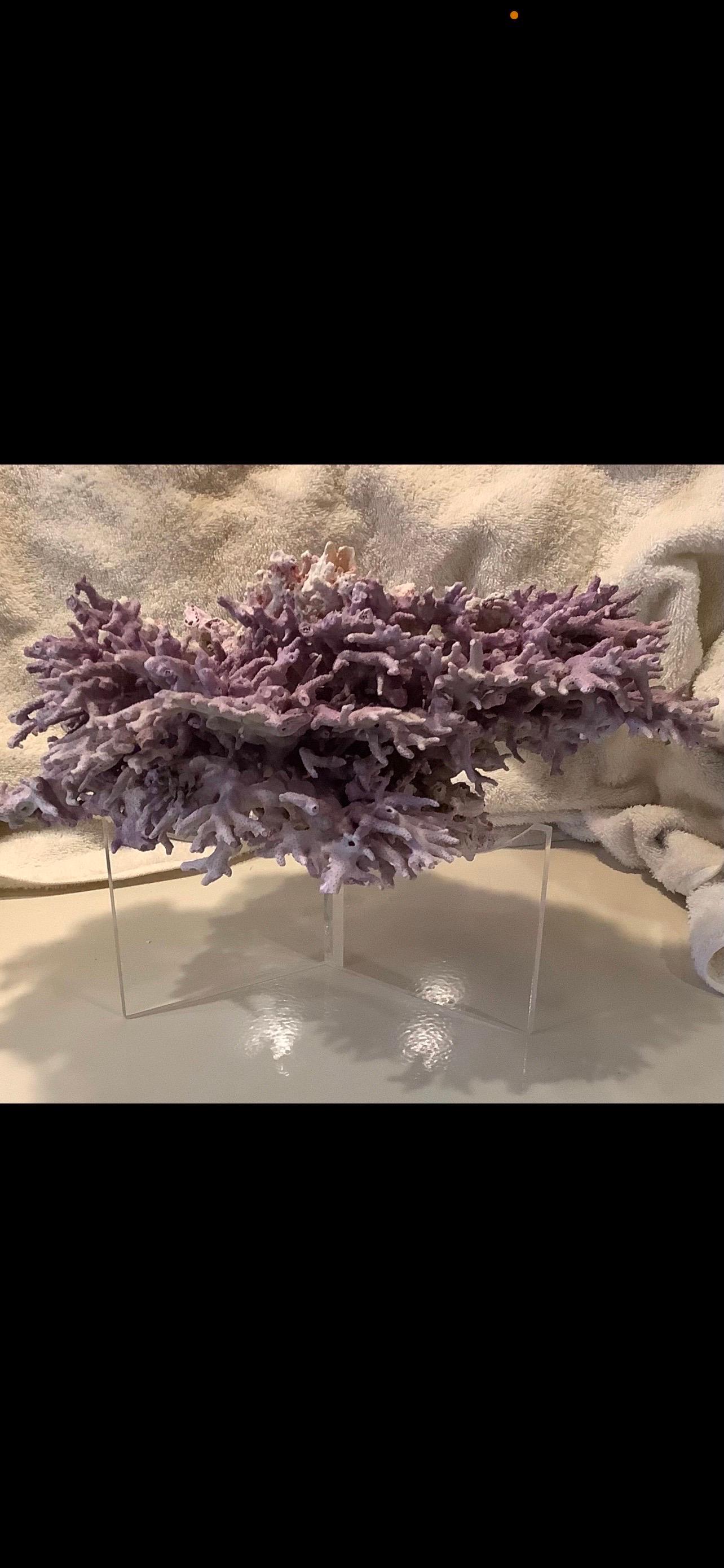 Natural Lavender/ Purple Coral In Good Condition For Sale In Houston, TX