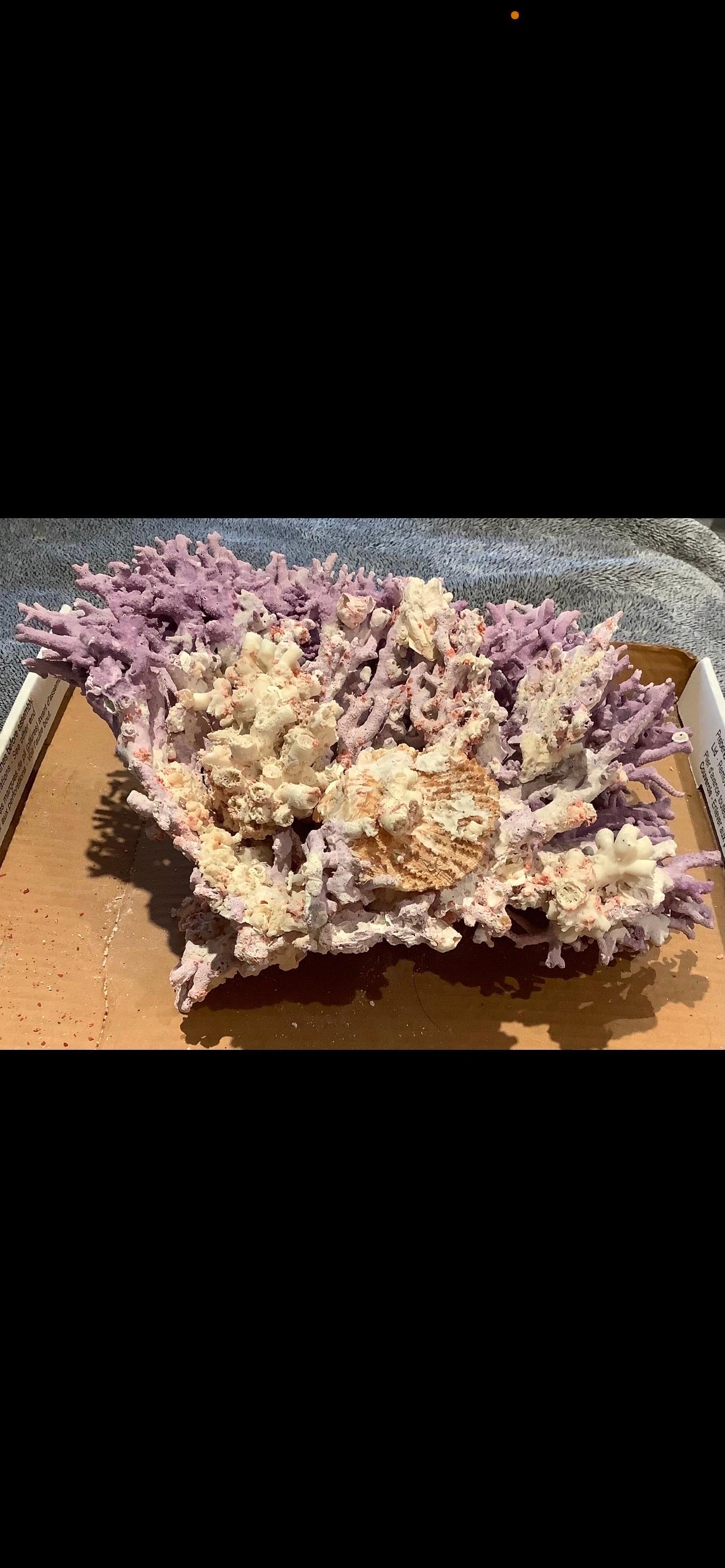 19th Century Natural Lavender/ Purple Coral For Sale