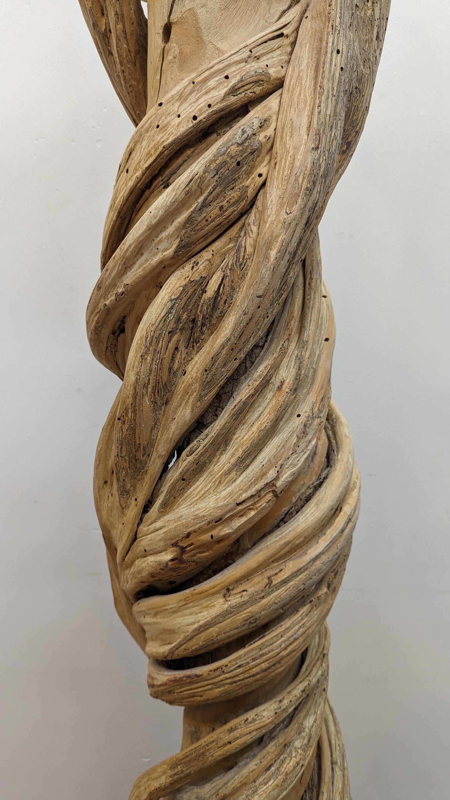 Natural Liana Vine Sculpture  For Sale 3