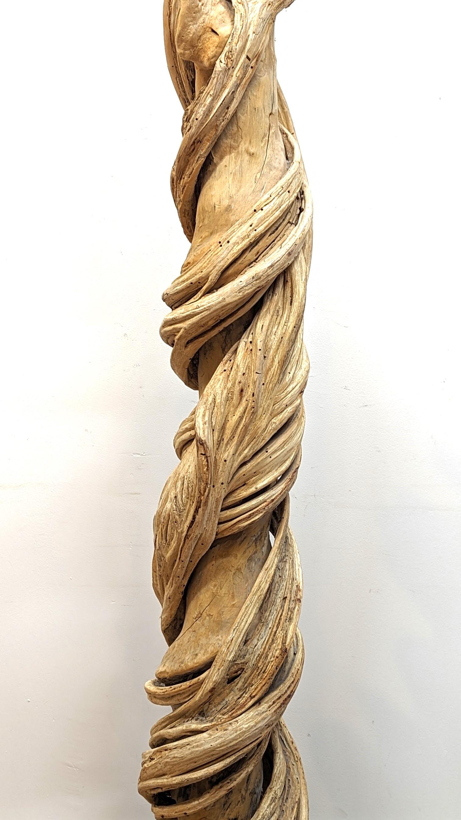 Natural Liana Vine-Skulptur aus Natur  im Angebot 6