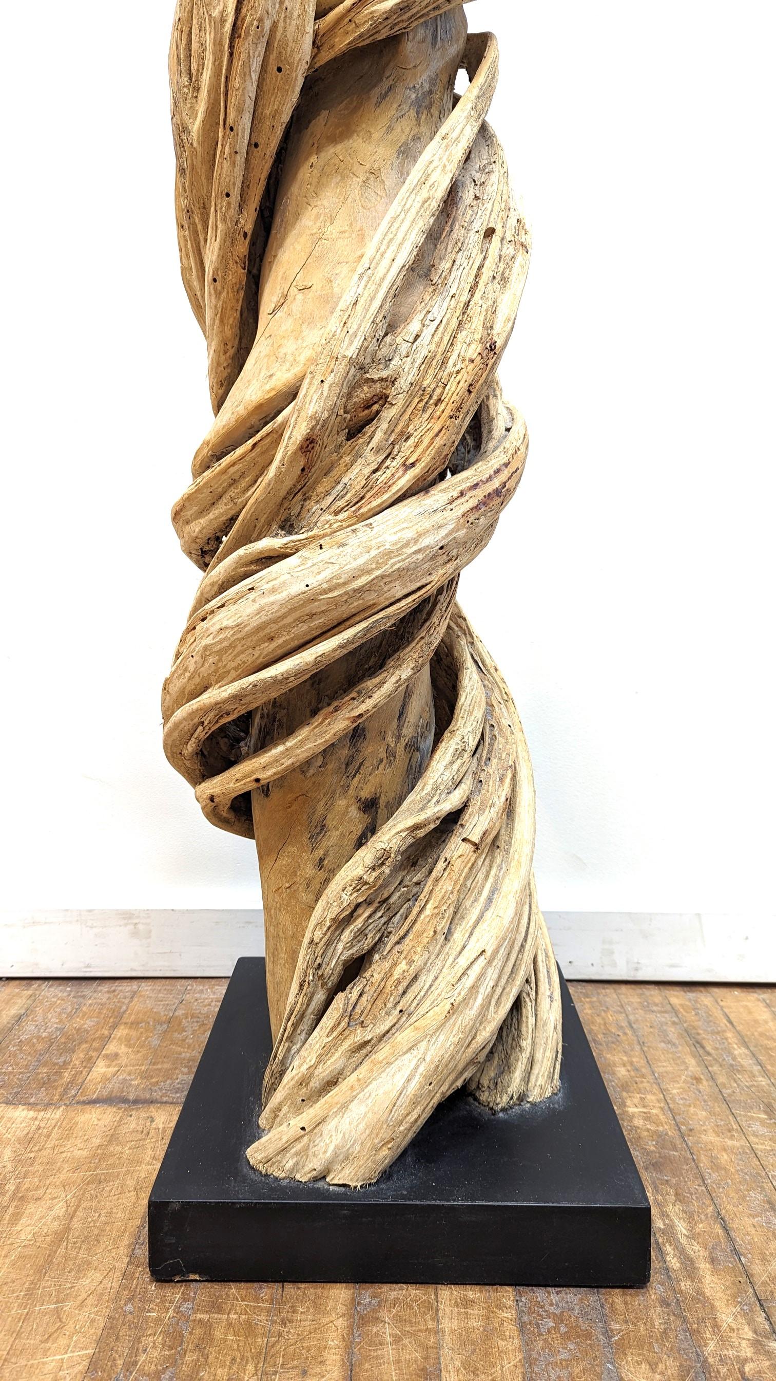 Sculpture Naturelle Vigne Liane  en vente 6