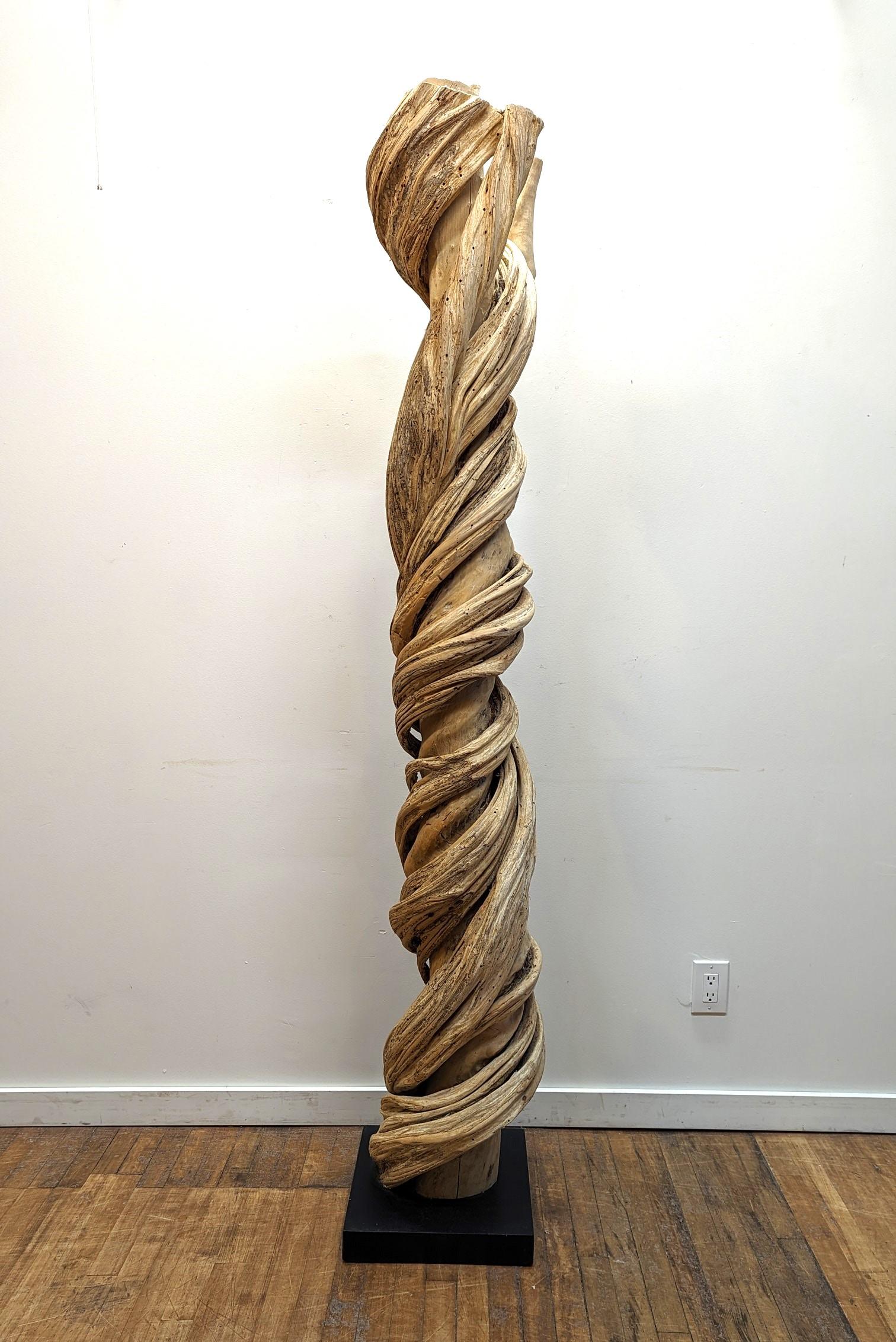 Natural Liana Vine-Skulptur aus Natur  (Organische Moderne) im Angebot