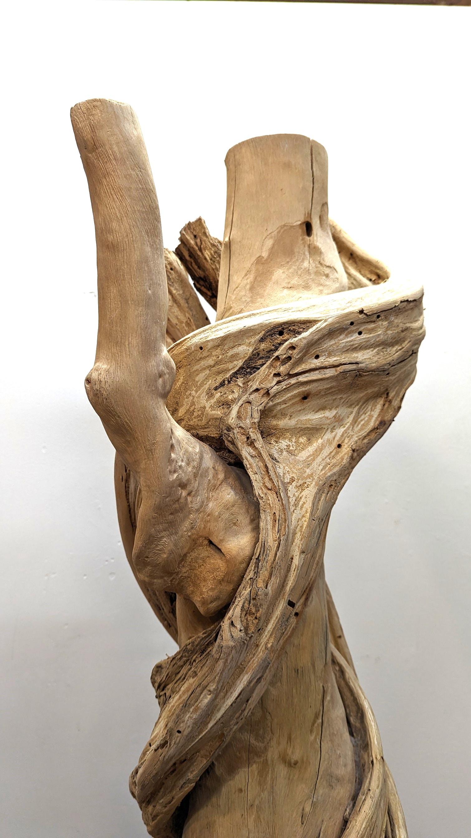 Natural Liana Vine-Skulptur aus Natur  (Holz) im Angebot