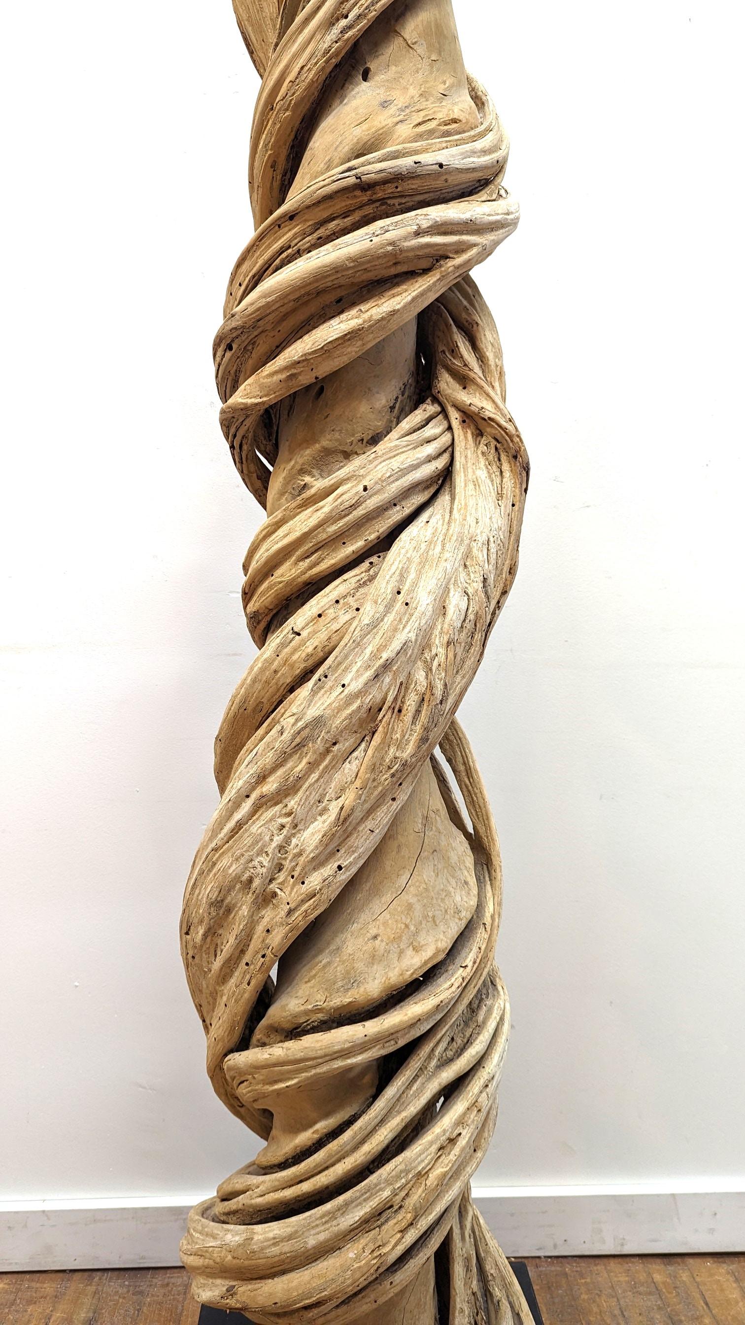 Natural Liana Vine Sculpture  For Sale 2