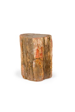 Natural Live Edge Petrified Wood Stump