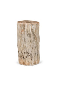 Natural Live Edge Petrified Wood Stump