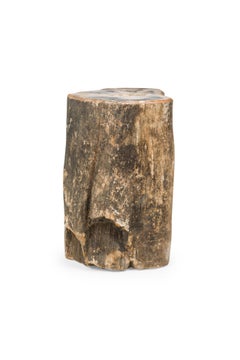 Natural Live Edge Petrified Wood Stump