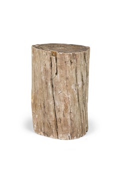 Natural Live Edge Petrified Wood Stump