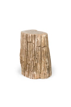 Natural Live Edge Petrified Wood Stump
