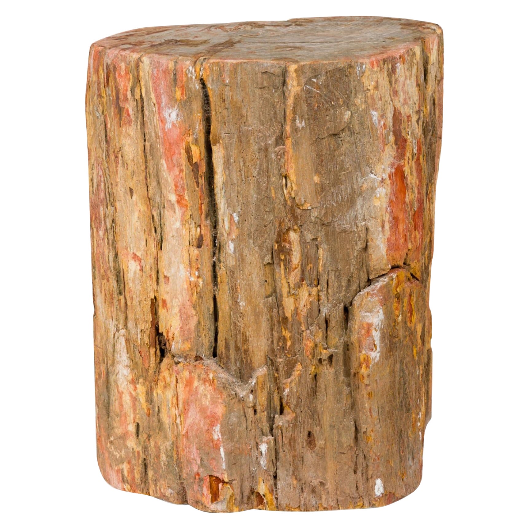 Natural Live Edge Petrified Wood Stump For Sale