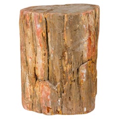 Natural Live Edge Petrified Wood Stump