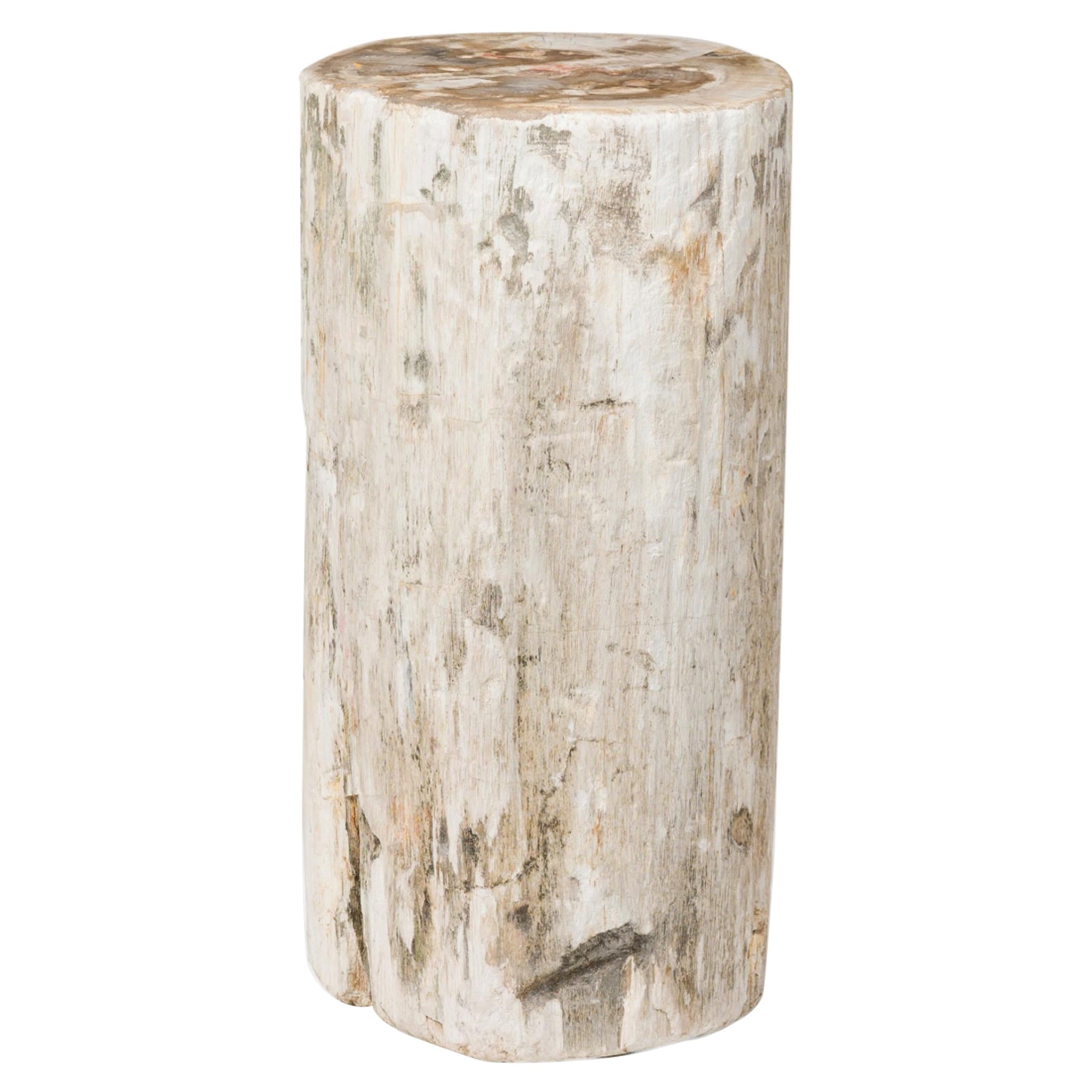 Natural Live Edge Petrified Wood Stump