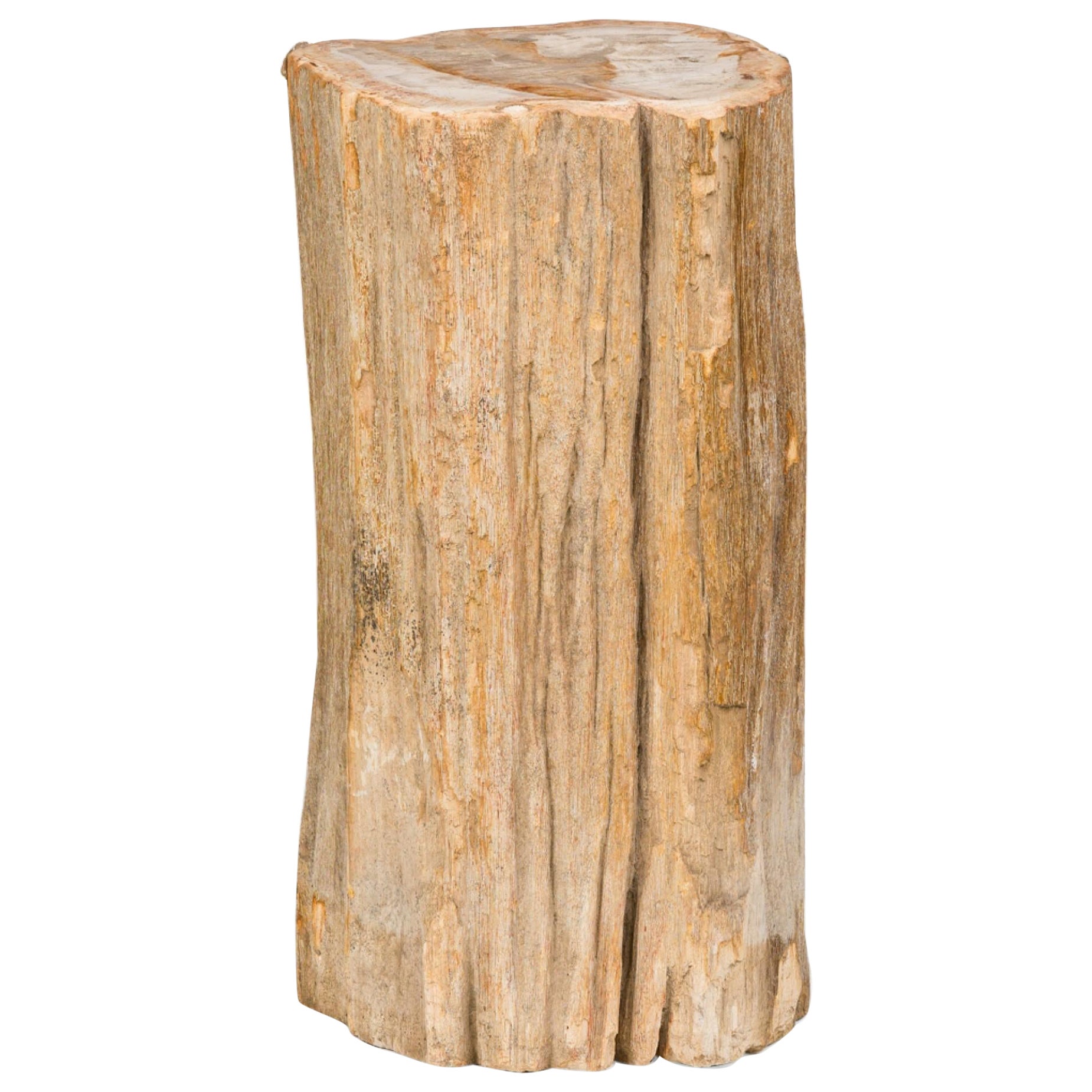 Natural Live Edge Petrified Wood Stump