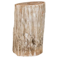 Natural Live Edge Petrified Wood Stump